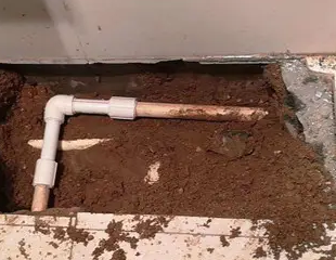 秦都测漏水哪家好