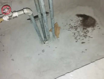 秦都卫生间测漏水价格明细